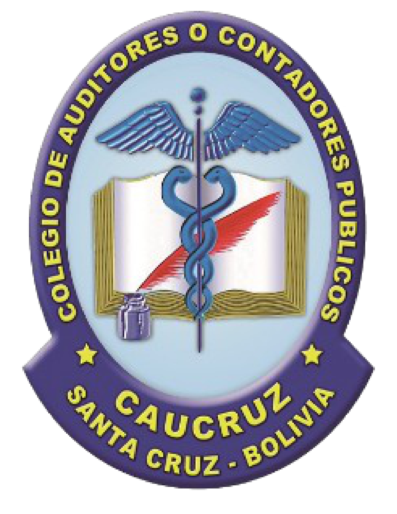 Imagen de Colegio de Auditores o Contadores Publicos de Santa Cruz 
